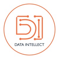 Data Intellect.logo