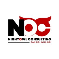 NightOwl Consulting.logo