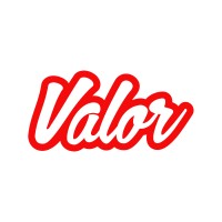 Valor Software.logo