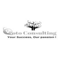 Voto Consulting LLC.logo