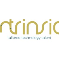 Ntrinsic Consulting.logo