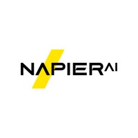 Napier AI.logo