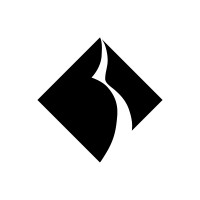 Black Diamond Networks.logo