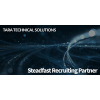 Tara Technical Solutions (TTS).logo