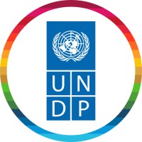 UNDP.logo