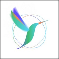 Hummingbird Healthcare.logo