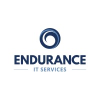 Endurance IT Services.logo