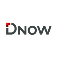 DNOW.logo