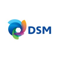 DSM.logo