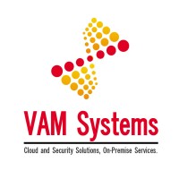 VAM Systems.logo